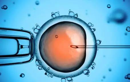 反复流产案例